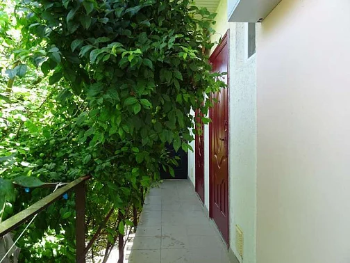 "Киевский" гостевой дом, Саки Фото: 9 из 50