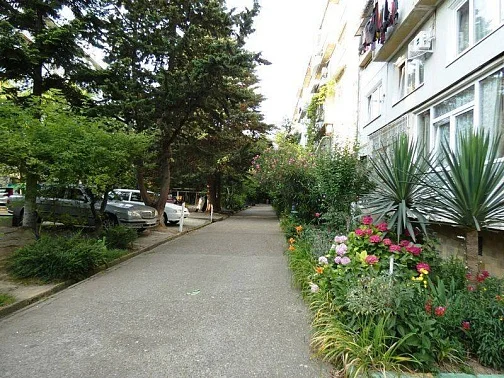 1-комнатная квартира Партизанская 10, Лазаревское Фото: 2 из 13