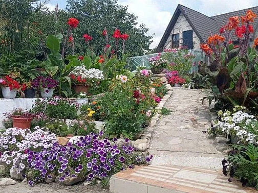 "Людмила" гостевой дом, Ольгинка Фото: 7 из 41