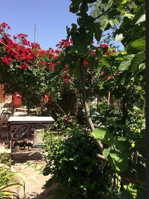 Дом под-ключ Краснодарская 152/1, Ейск Фото: 23 из 24