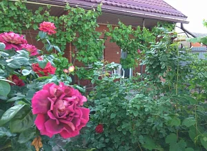 Частный сектор ул Советская Голубицкая