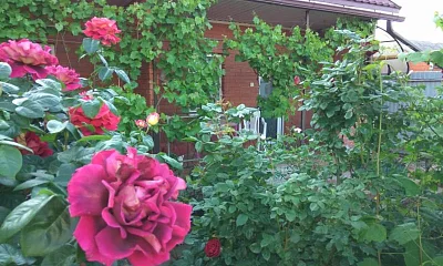 Частный сектор ул Советская, Голубицкая Фото: 1 из 4