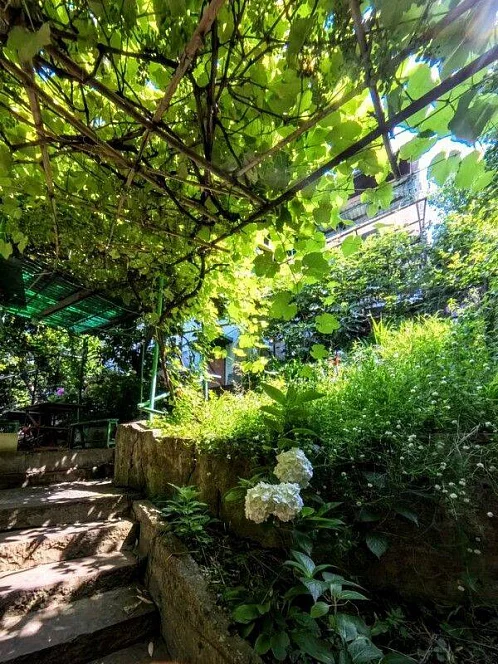 "Евангелина" частный сектор, Лазаревское Фото: 8 из 34