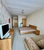 "2х-комнатный с террасой"