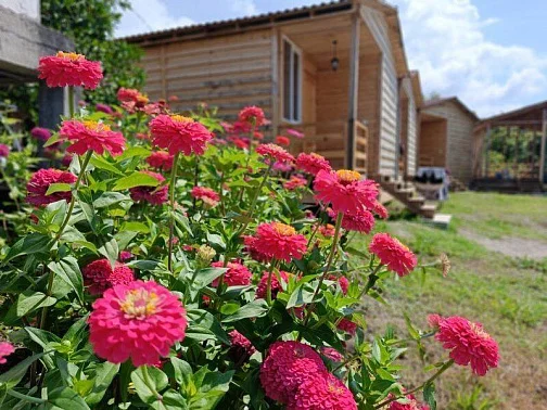 "LA-MODE" гостевой дом, Новый Афон Фото: 5 из 21