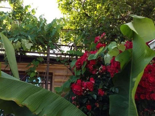 "На Мирной" частный сектор, Лазаревское Фото: 35 из 45