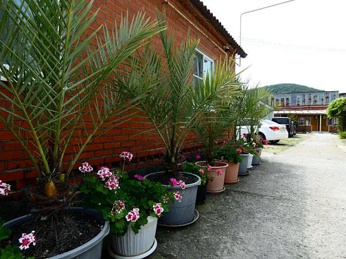 "Морской 1" частный сектор, Джубга Фото: 2 из 51