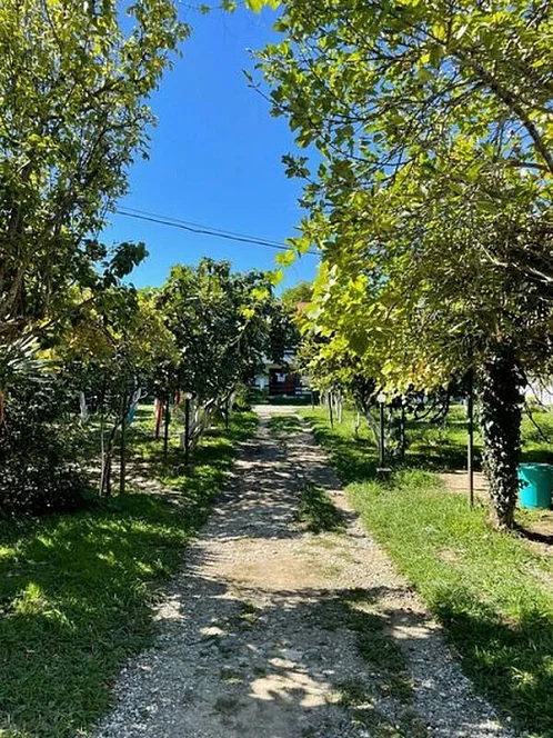 "Магнолия" гостевой дом, Лдзаа Фото: 10 из 51