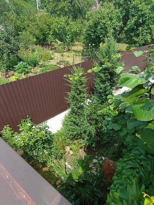 "Людмила" гостевой дом, Ольгинка Фото: 12 из 41