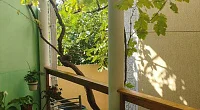 "У Шукшиной" частный сектор, Геленджик