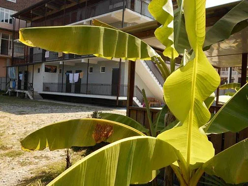 "На Главной" гостевой дом, Якорная щель Фото: 7 из 45