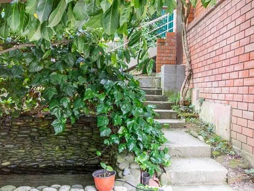 "Самсар" гостевой дом, Дагомыс Фото: 7 из 50