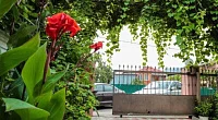 "Абхаз-Лео" гостевой дом, Гагра