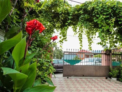 "Абхаз-Лео" гостевой дом, Гагра Фото: 4 из 52