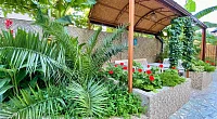 "Майский" гостевой дом, Лазаревское