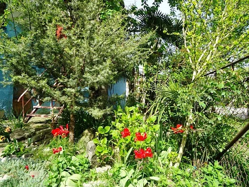 "Корвет" 2 дома под-ключ, Каткова Щель Фото: 29 из 29