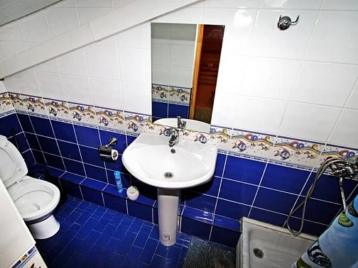 "АУРЕЛИЯ" эллинг, Лоо Фото: 36 из 41