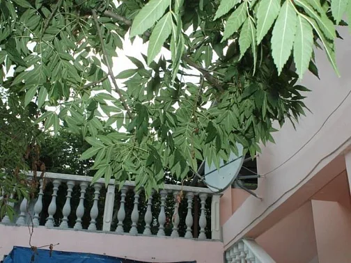 "Аперик" этаж под-ключ, Пляхо Фото: 2 из 4