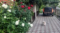 2х-комнатный дом под-ключ Первомайский 41, Должанская