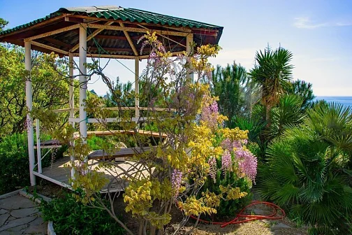 "Лесной дом" частный сектор, Ялта Фото: 5 из 51