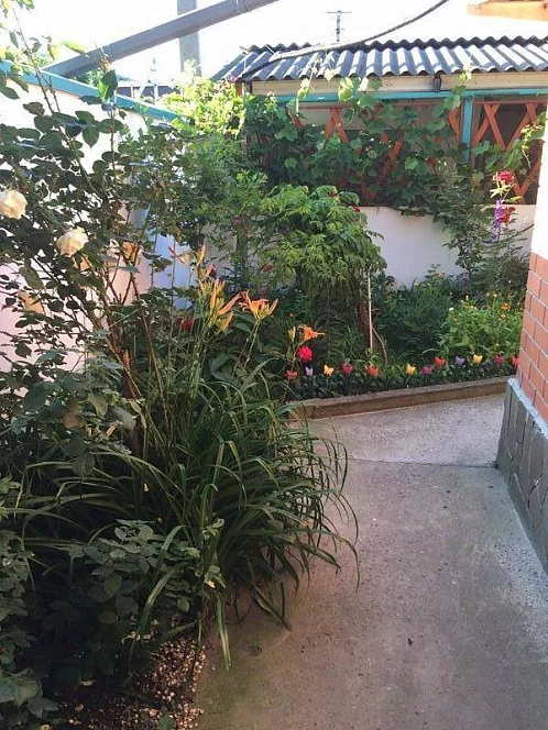 "Гостевые Домики У Светланы Зеленый Дворик" частный сектор, Сукко Фото: 4 из 34