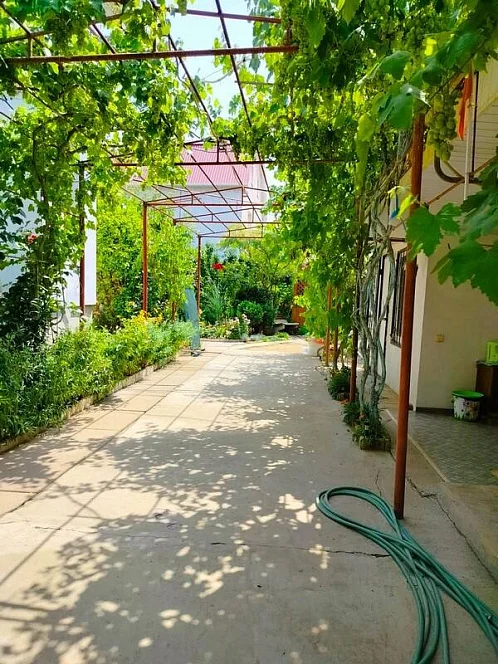 "Нектарин" частный сектор, Саки Фото: 11 из 33