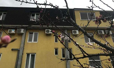 "Каролина" гостевой дом, Сочи Фото: 1 из 4