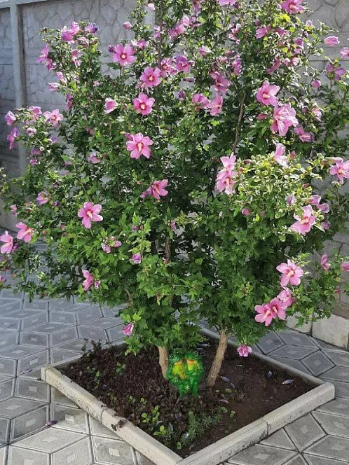 "Надежда" частный сектор, Черноморское Фото: 32 из 32