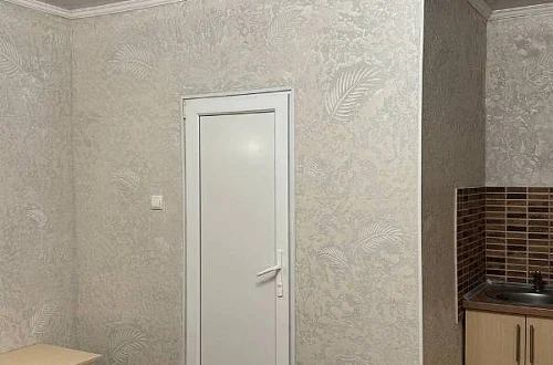 1-комнатный с кухней Фото: 13 из 24