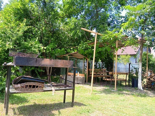 "Алиса" гостевой дом, Гудаута Фото: 8 из 50