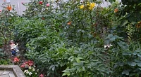 Частное домовладение ул. Красных Партизан, Геленджик