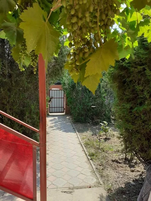 "Анастасия" частное домовладение, Темрюкский р-н Фото: 7 из 39