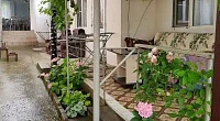 "Алексия" гостевой дом, Джубга