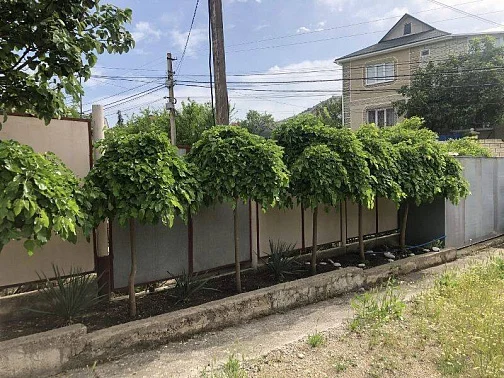 "Морская усадьба" частный сектор, Орджоникидзе Фото: 5 из 28