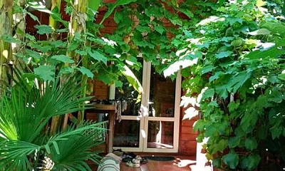 Коттедж под-ключ Гочуа 11, Пицунда Фото: 1 из 12