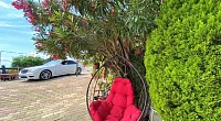 "У Маргариты" частный сектор, Лоо