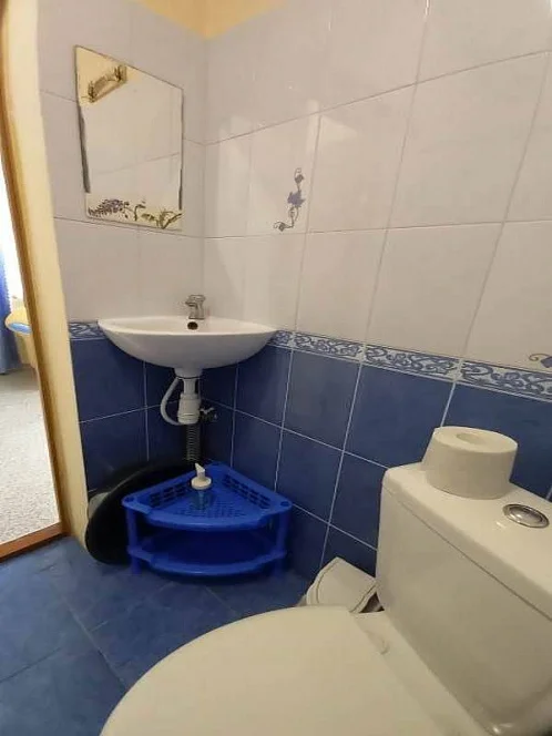 Гостевой дом Светлая 14, Новофедоровка Фото: 30 из 49