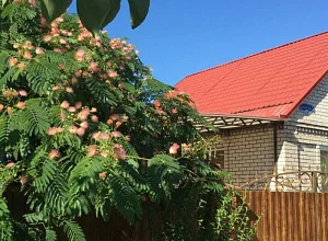 "Уютный дворик" дом  Голубицкая