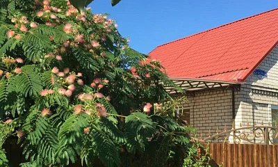 "Уютный дворик" дом под-ключ, Голубицкая Фото: 1 из 18