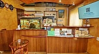 "Черноморец" гостевой дом, Лазаревское