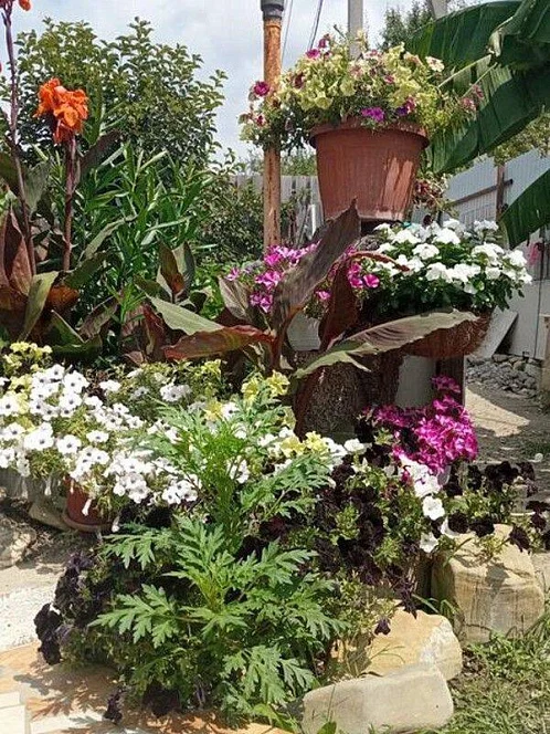 "Людмила" гостевой дом, Ольгинка Фото: 8 из 41