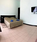 "Апартаменты 3х-комнатные с отдельным входом"