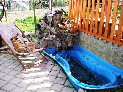 "НасТРОЕние" частный сектор, Голубицкая Фото: 9 из 51