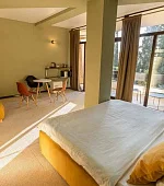 "Люкс 1-комнатный" 3х-местный