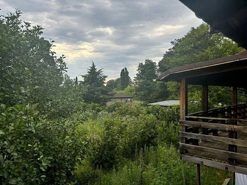 "Акалам Кантри Клаб" база отдыха, Пицунда Фото: 15 из 33