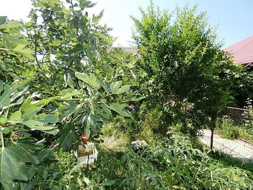 Частный сектор ул. Курортная, Голубицкая Фото: 15 из 44