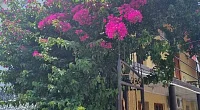 "У Мадины" частный сектор, Гагра