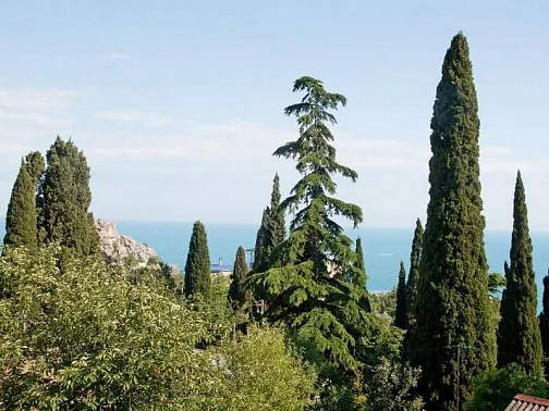 "С видом на море и горы" этаж под-ключ, Гурзуф Фото: 26 из 32