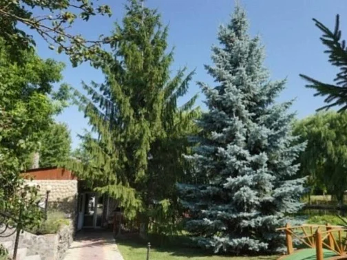 "Зеленый яр" база отдыха, Мазанка Фото: 15 из 39
