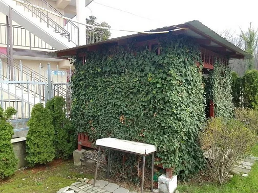"Горная Лаванда" гостевой дом, Лазаревское Фото: 3 из 51